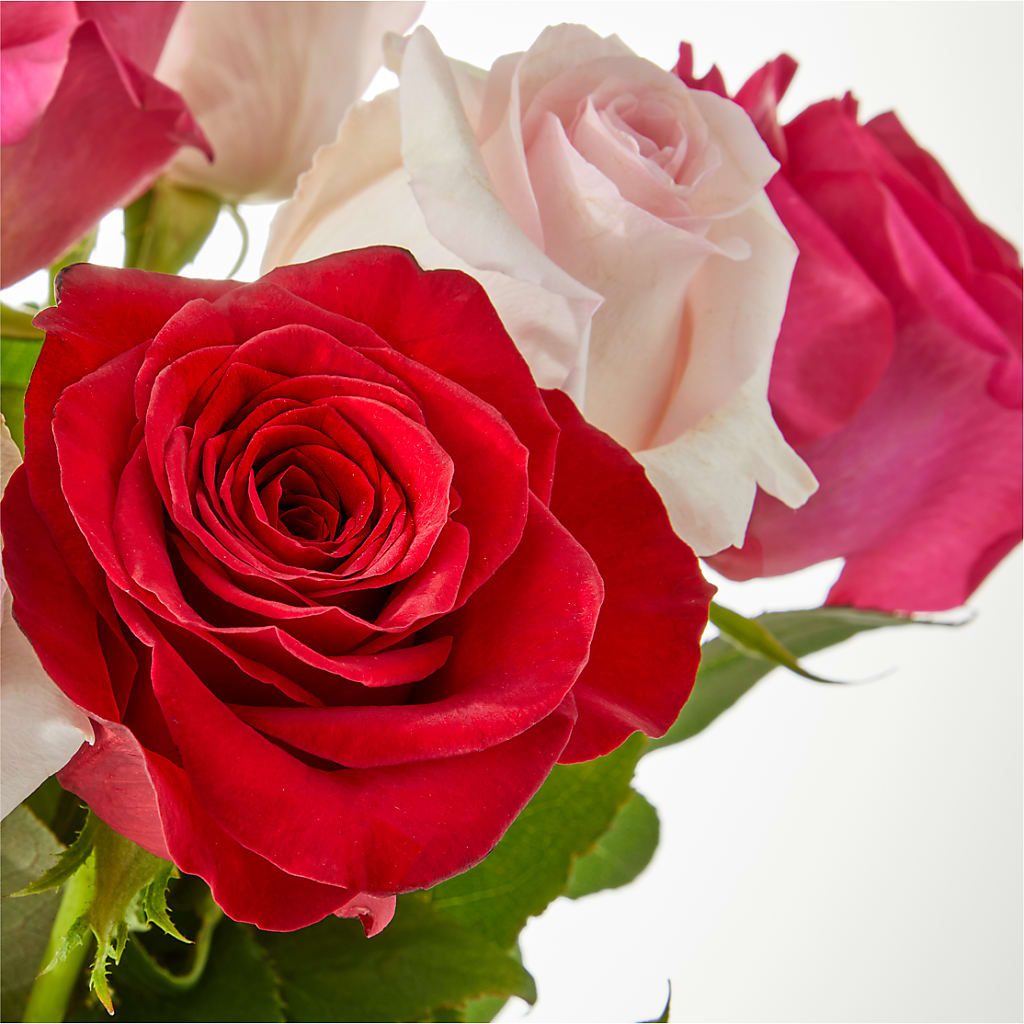 Charming Rose Bouquet –  Jnblooms Llc, Spring Hill FL