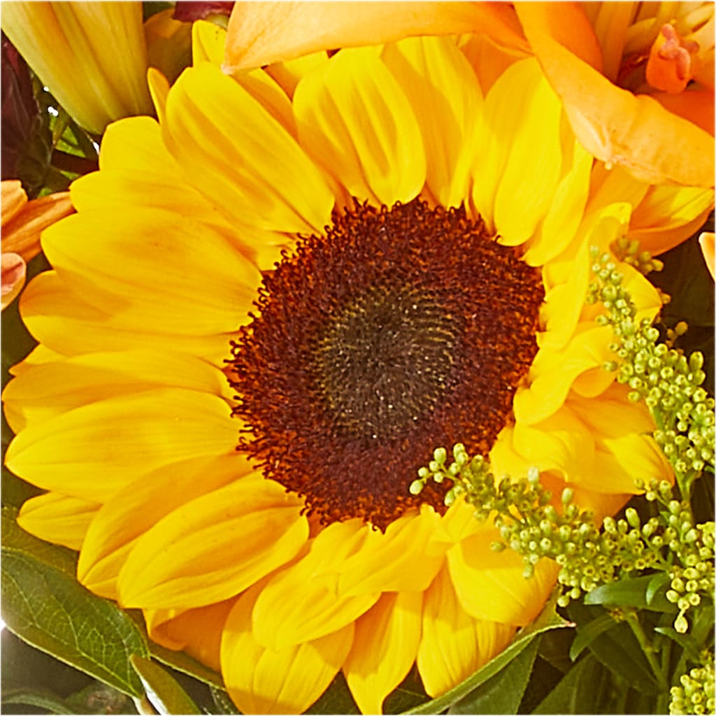 Seasons Change Bouquet –  Jnblooms Llc, Spring Hill FL