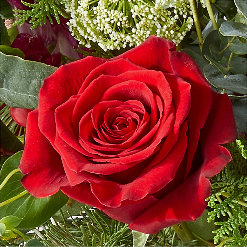 Cranberry Fizz Bouquet –  Jnblooms Llc, Spring Hill FL