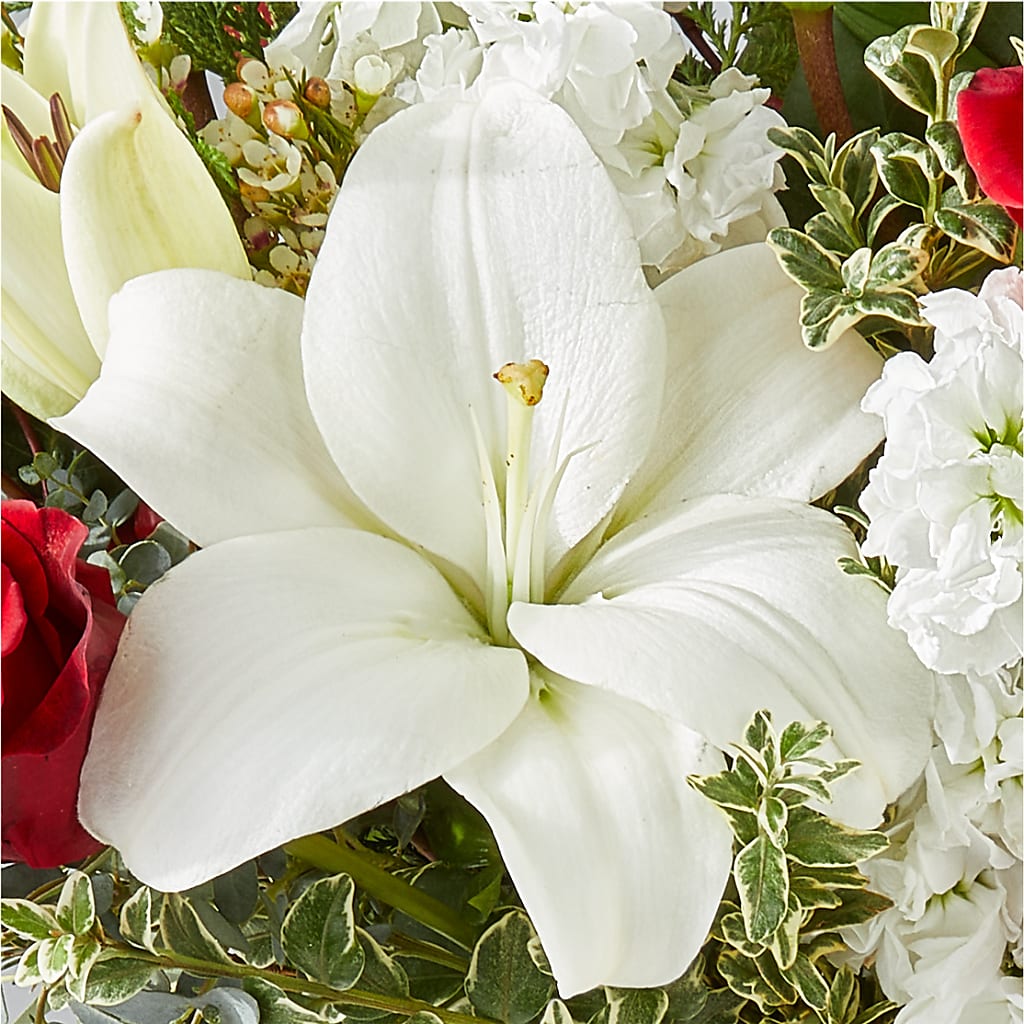 Twinkle Lights Bouquet –  Jnblooms Llc, Spring Hill FL