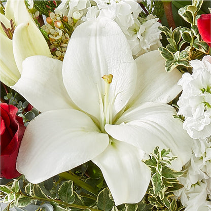Twinkle Lights Bouquet –  Jnblooms Llc, Spring Hill FL