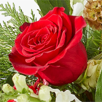 Deck the Halls Bouquet –  Jnblooms Llc, Spring Hill FL