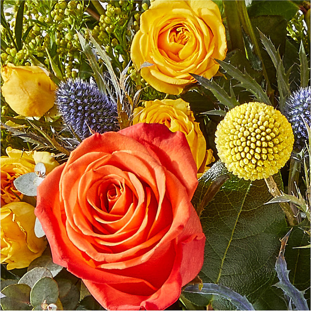 Disco Bouquet –  Jnblooms Llc, Spring Hill FL