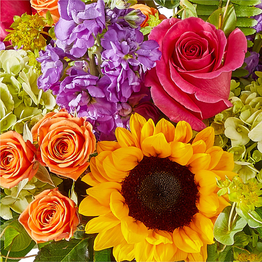 Vibrant Greetings Bouquet –  Jnblooms Llc, Spring Hill FL