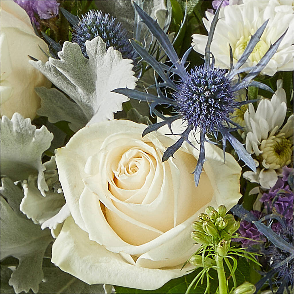 Shooting Star Bouquet –  Jnblooms Llc, Spring Hill FL