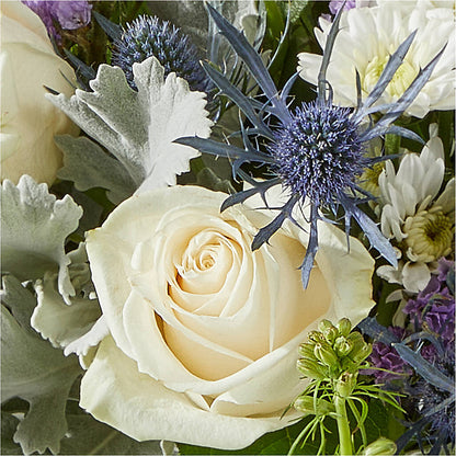Shooting Star Bouquet –  Jnblooms Llc, Spring Hill FL