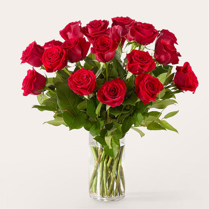 The One Red Rose Bouquet –  Jnblooms Llc, Spring Hill FL