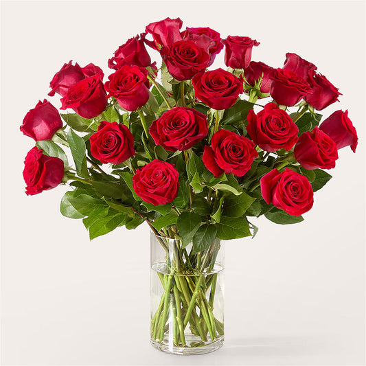 The One Red Rose Bouquet –  Jnblooms Llc, Spring Hill FL
