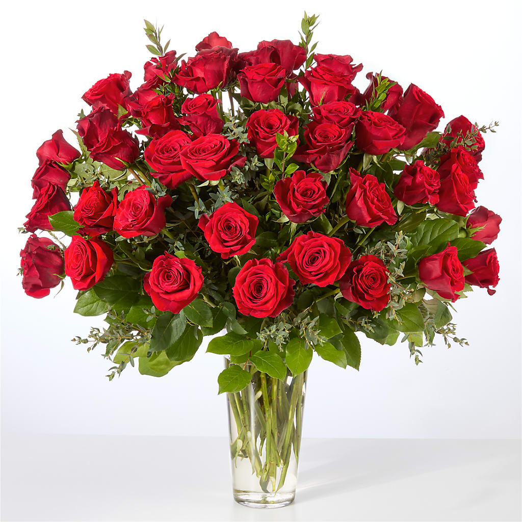 Forever Yours Fifty Stem Red Rose Bouquet –  Jnblooms Llc, Spring Hill FL
