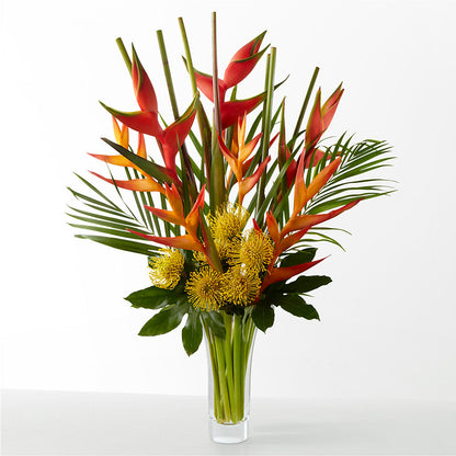 The Drama –  Jnblooms Llc, Spring Hill FL