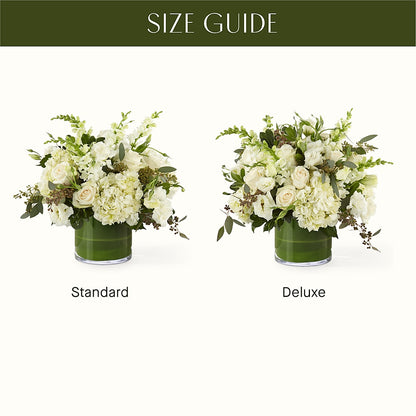 The Gallery –  Jnblooms Llc, Spring Hill FL
