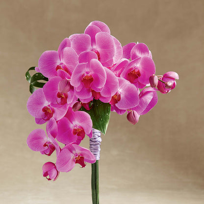 Glorious Bouquet –  Jnblooms Llc, Spring Hill FL