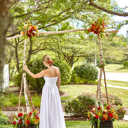 Arbor of Love Archway –  Jnblooms Llc, Spring Hill FL