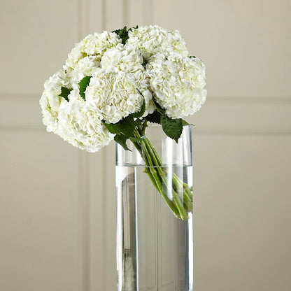 White Hydrangea Hand-Tied Bouquet –  Jnblooms Llc, Spring Hill FL
