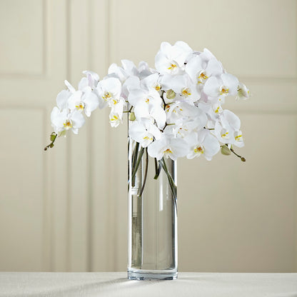White Phalaenopsis Bouquet –  Jnblooms Llc, Spring Hill FL