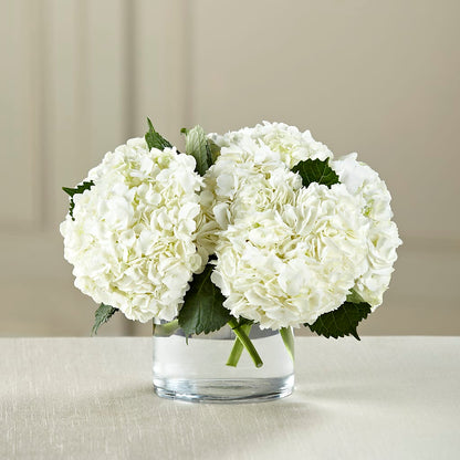 White Hydrangea Bouquet –  Jnblooms Llc, Spring Hill FL